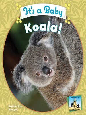 cover image of It's a Baby Koala!